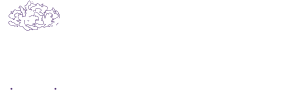 owleys logo