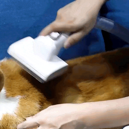 Shedder Pet Hair Vacuum 1 Description Shedder Pet Hair Vacuum 1 Description