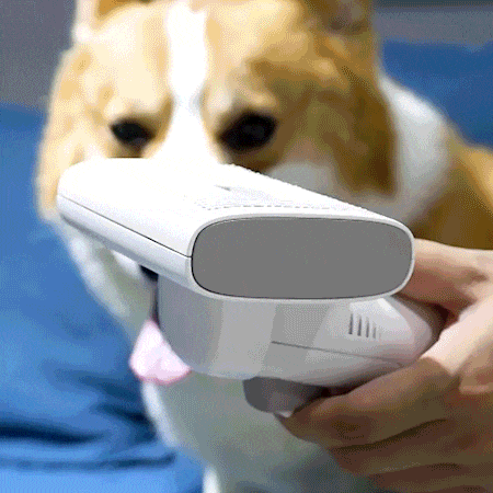 Shedder Pet Hair Vacuum 3 Description Shedder Pet Hair Vacuum 3 Description