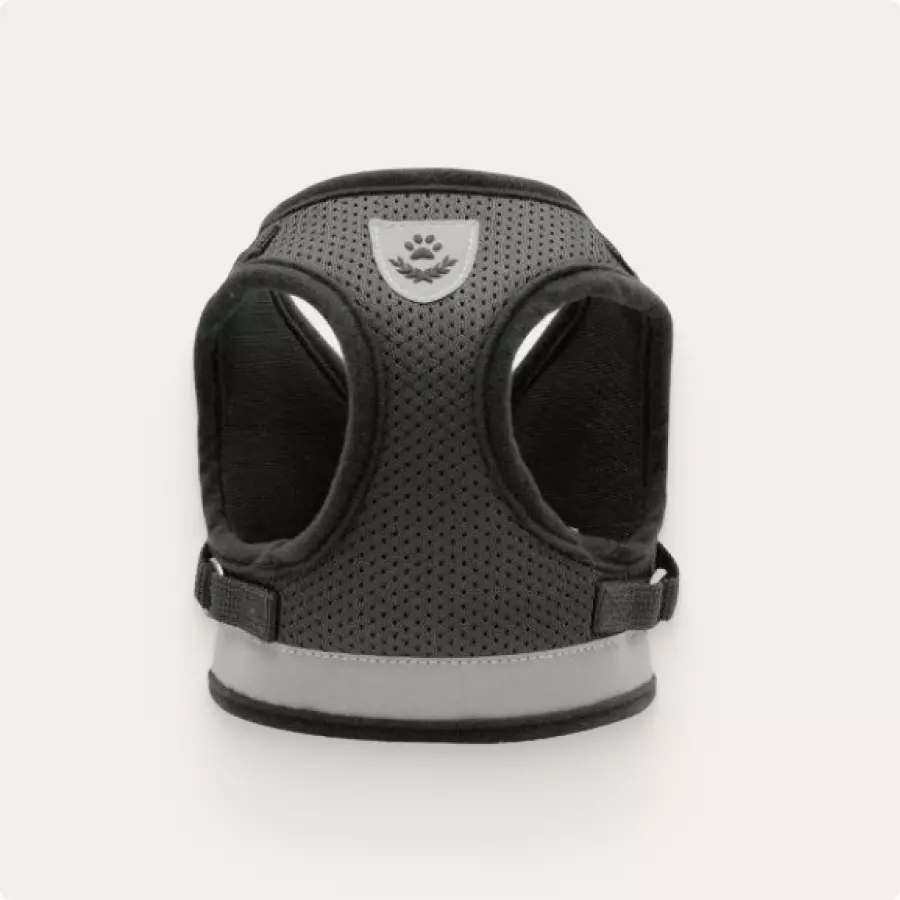 Small Dog Safety Harness Gallery 2 Small Dog Safety Harness Gallery 2