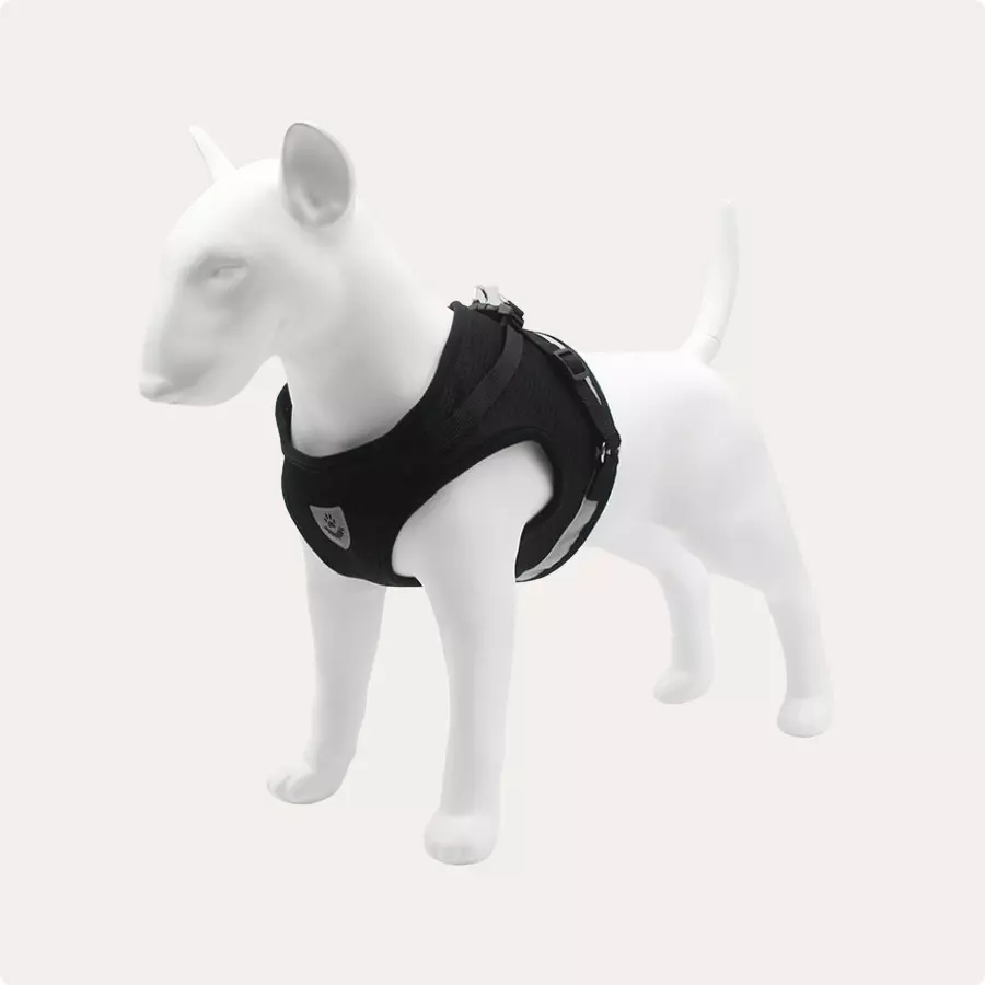 Small Dog Safety Harness Gallery 3 Small Dog Safety Harness Gallery 3