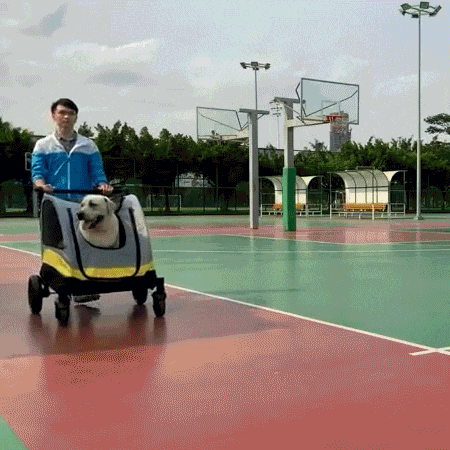 Pet Stroller For Large Dogs 1 Descr Pet Stroller For Large Dogs 1 Descr