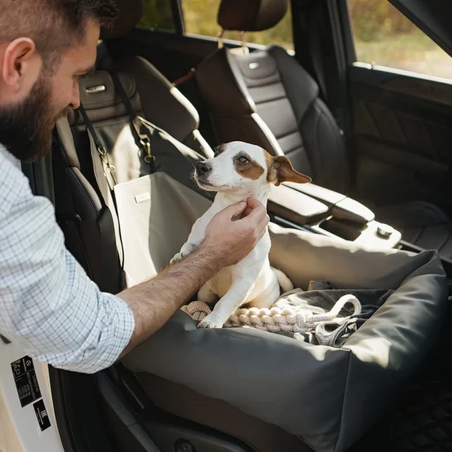  Dog Booster Seat For Small Dogs | Front & Back Seat Installation | Eco Leather 