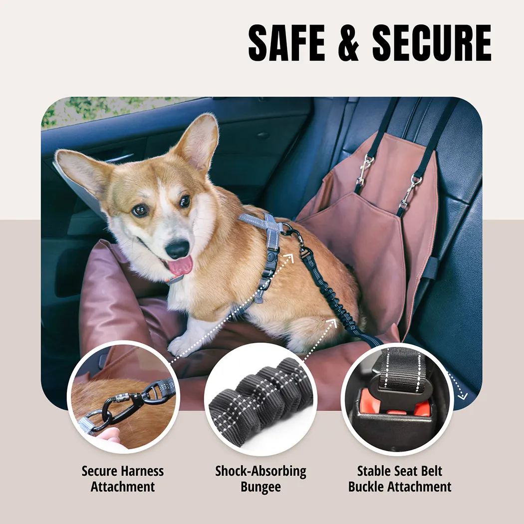 Dog Car Seat Belt Clipper Gallery 2