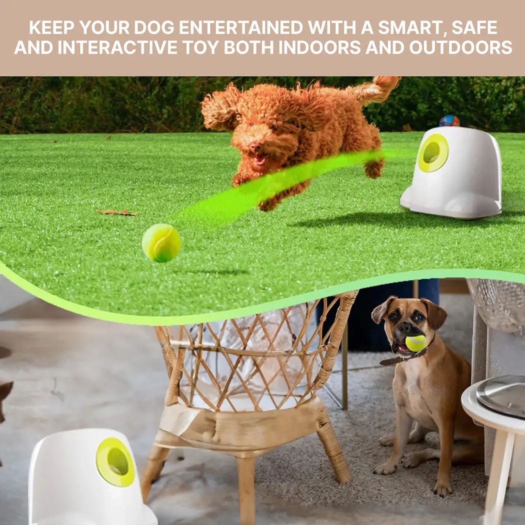 Automatic Ball Launcher Fetch&Fly Gallery 4
