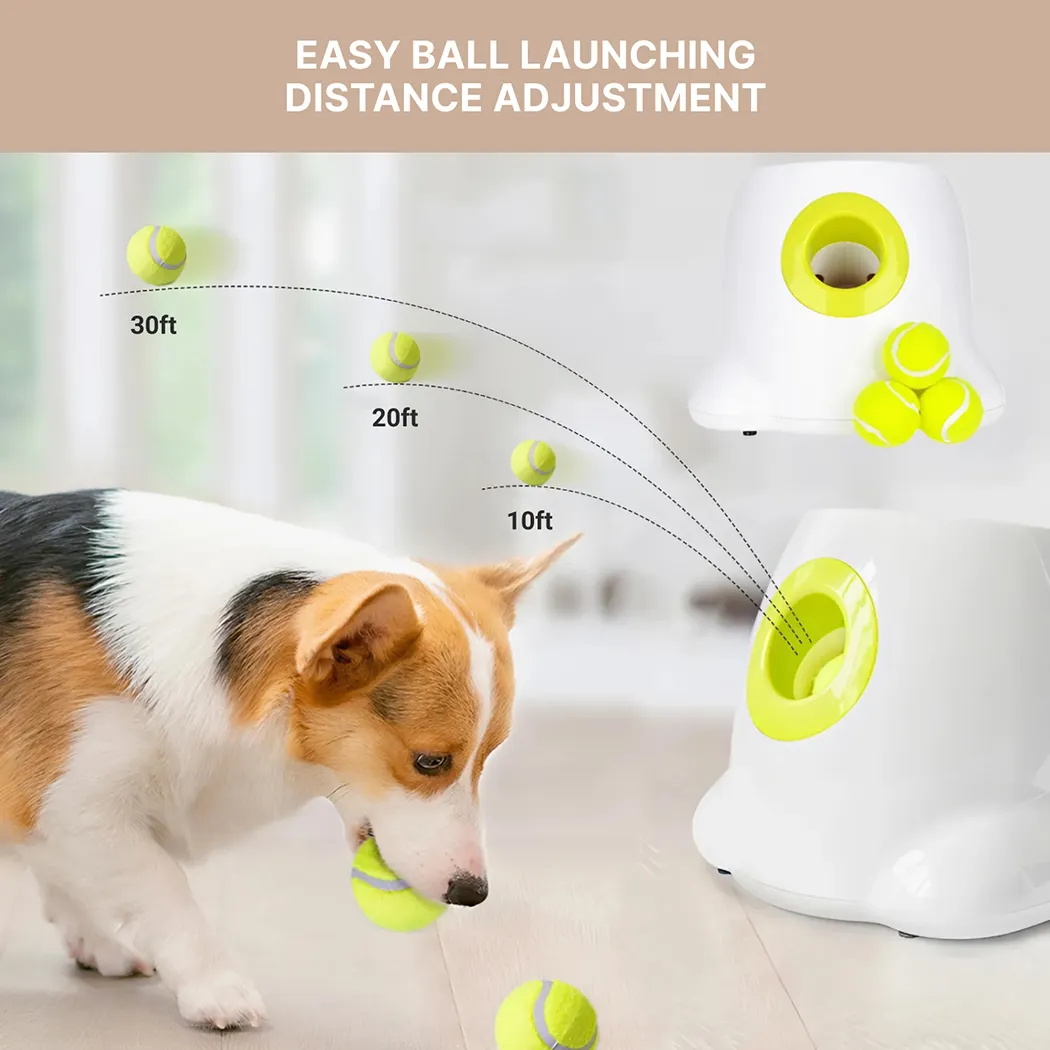 Automatic Ball Launcher Fetch&Fly Gallery 5