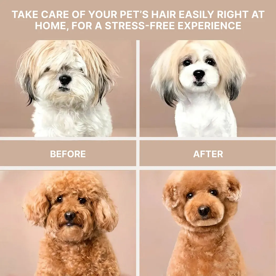 Pet Hair Vacuum Cleaner Shedder Gallery 6