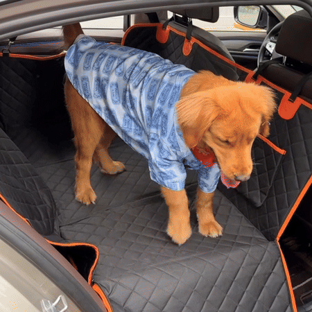 Backseat Extender For Dogs 1 Description Backseat Extender For Dogs 1 Description