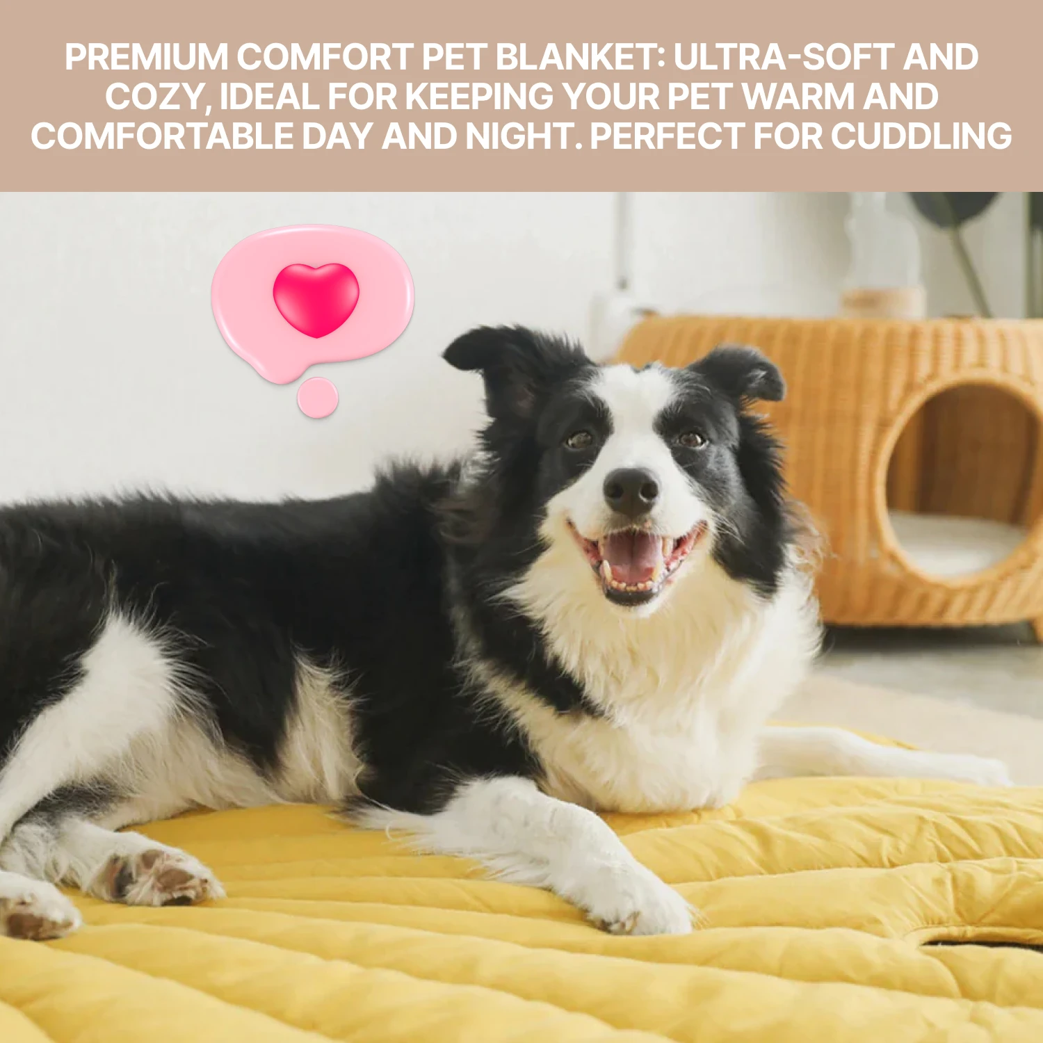 dog_blanket_for_couch_2_gallery_02