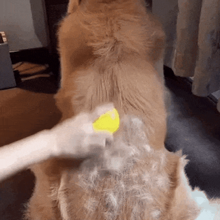 Dog Brush for Shedding Description 2 Dog Brush for Shedding Description 2