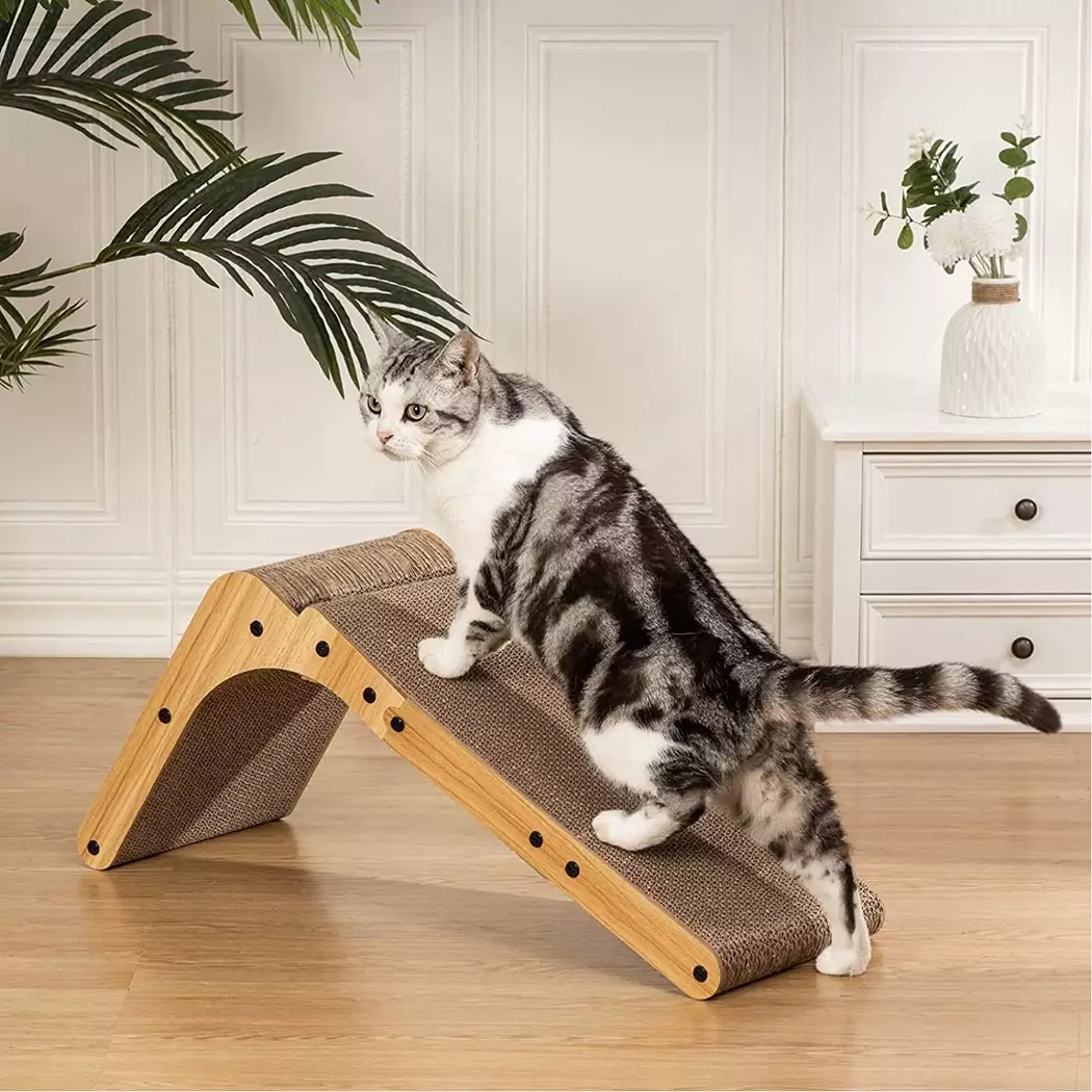 Cat Scratcher Featured 3