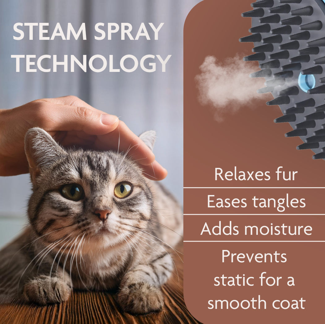 Cat Steam Brush 4
