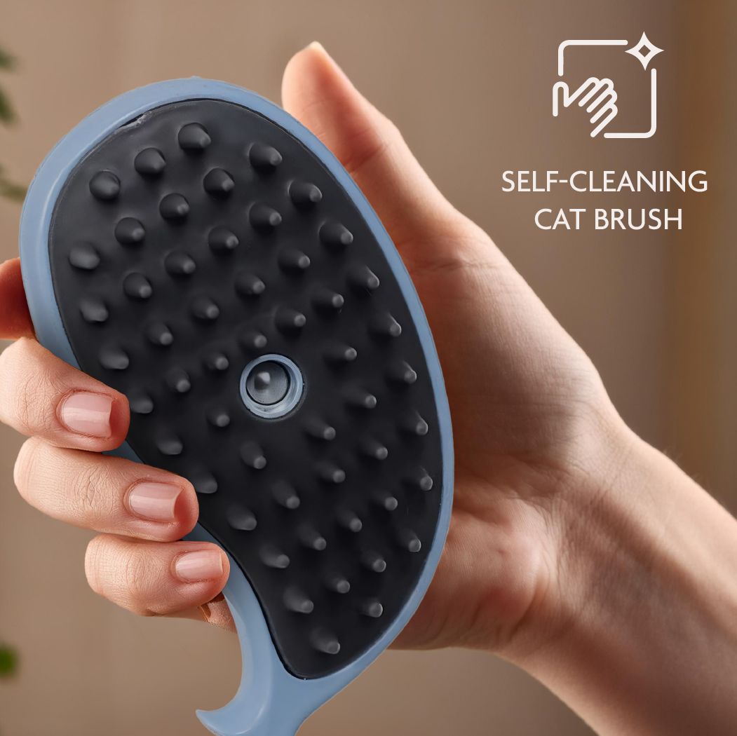Cat Steam Brush 5