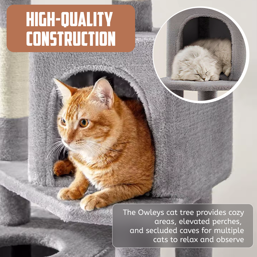 Cat Tree Gallery 1