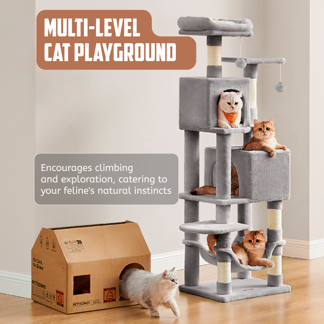 Cat Tree Gallery 2