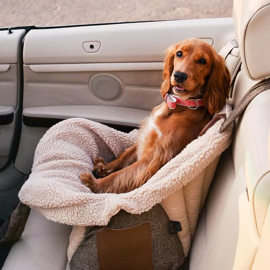 Dog Carrier Bag Seashell Gallery 9