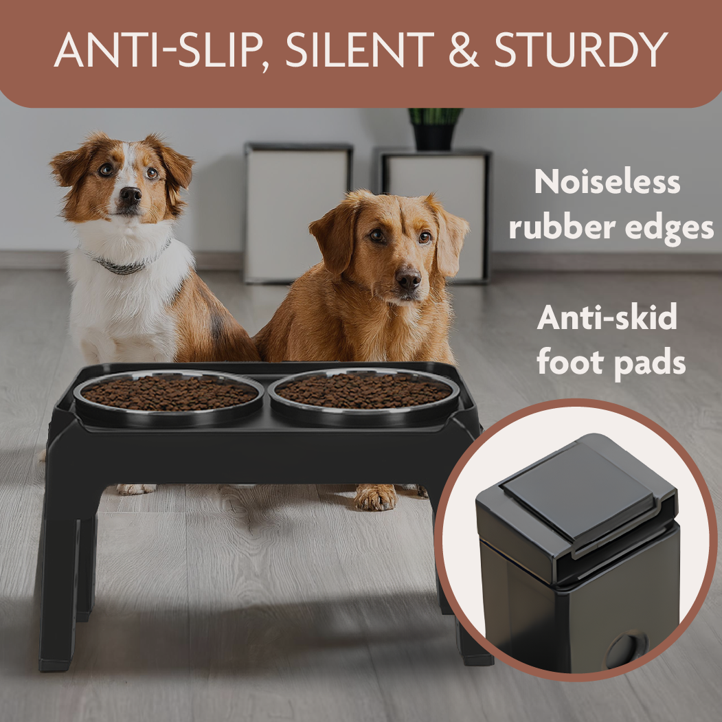 Elevated Dog Bowls 6