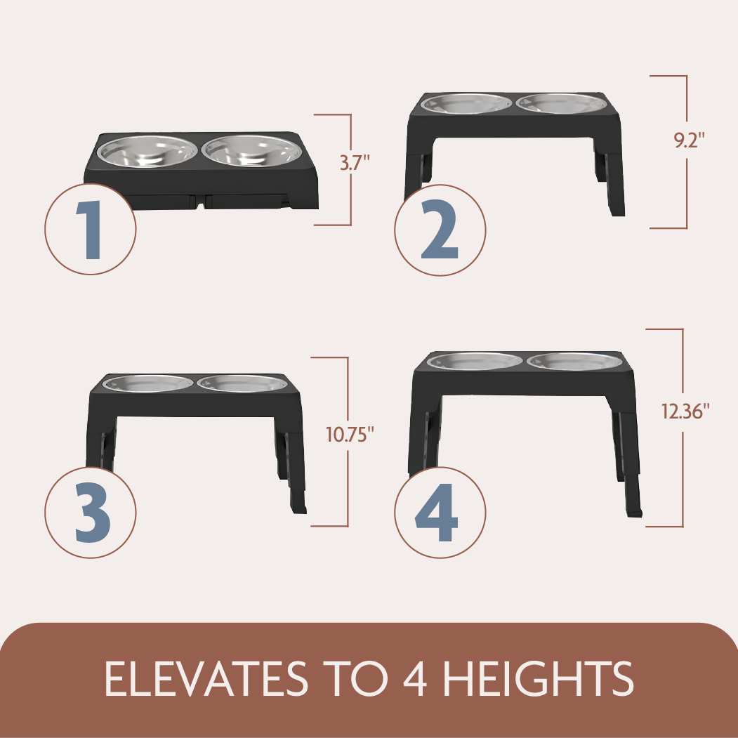 Elevated Dog Bowls 7