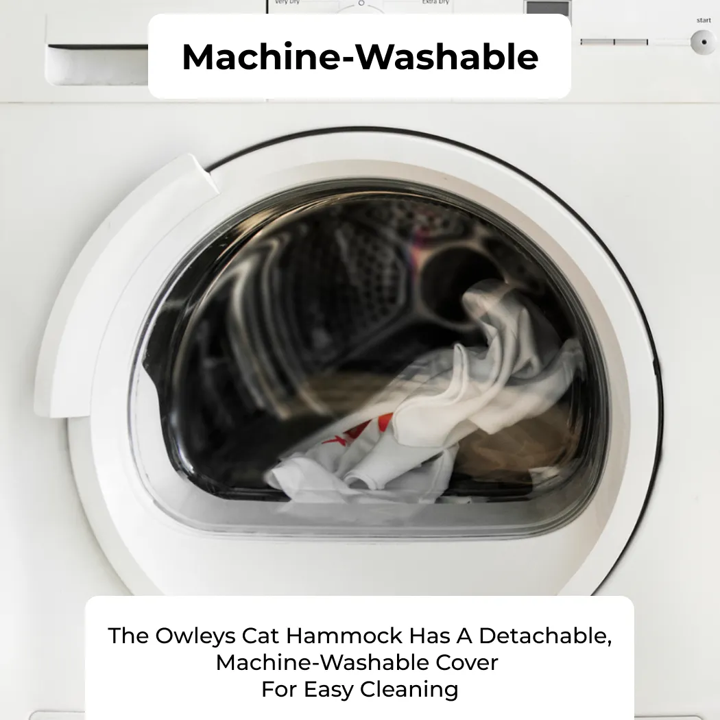 Cat Hammock Gallery 3