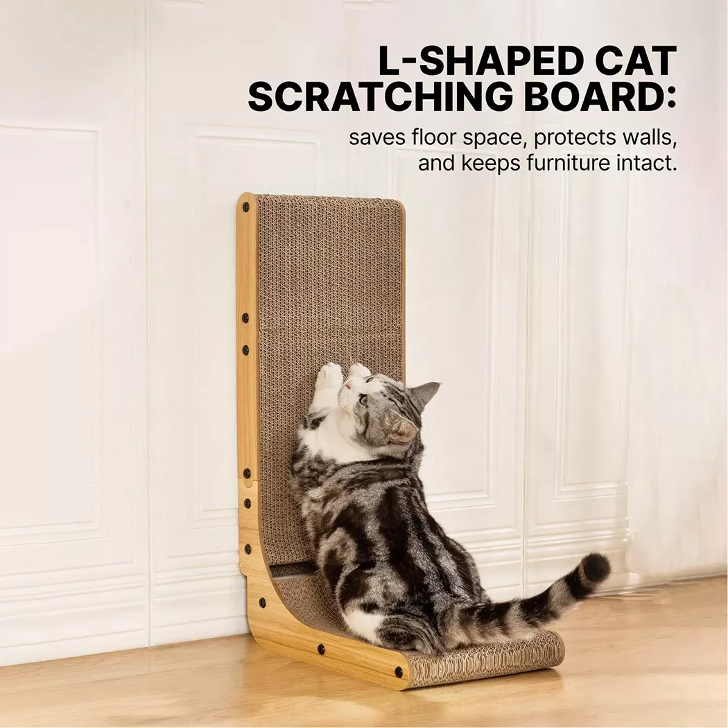 Cat Scratcher Gallery 2