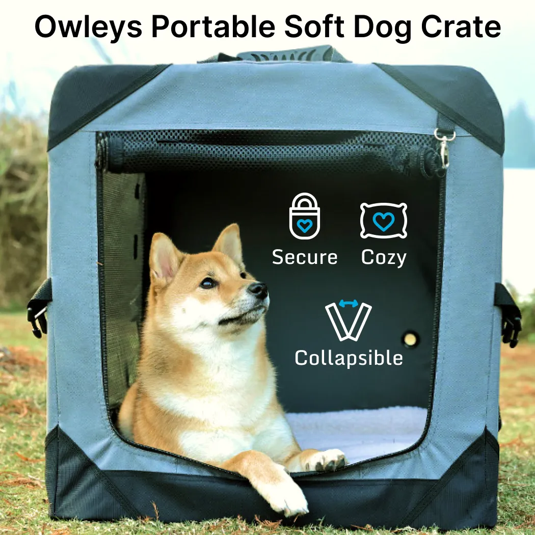 Collapsible Dog Crate Gallery 1