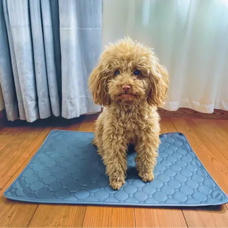 Washable Pee Pads 1