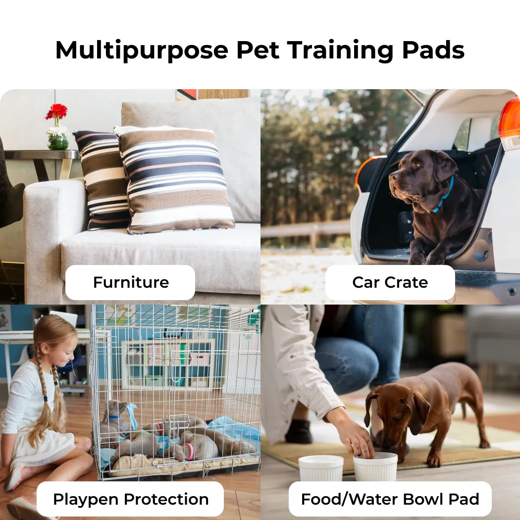 Washable Pee Pads Gallery 3