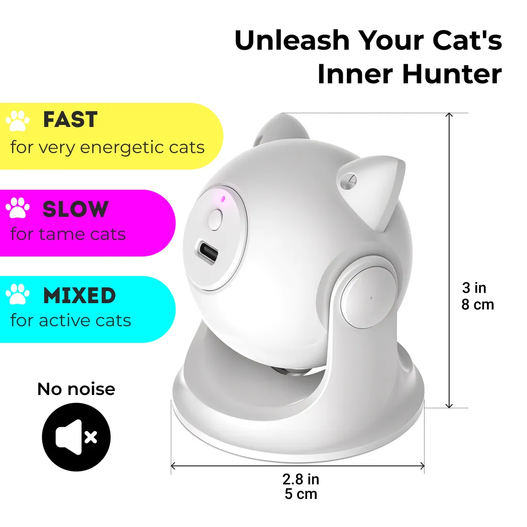 Automatic Cat Laser Toy Gallery 1