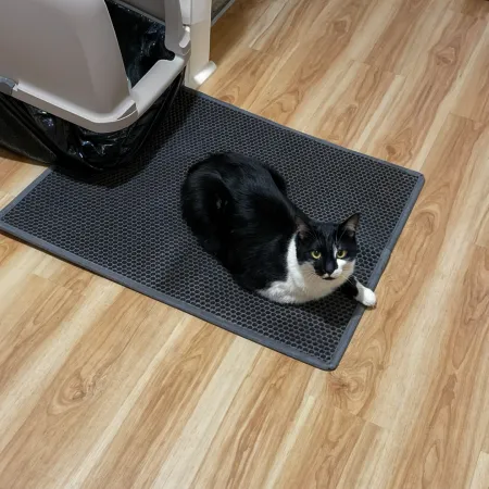 Cat Litter Mat 3 Description Cat Litter Mat 3 Description